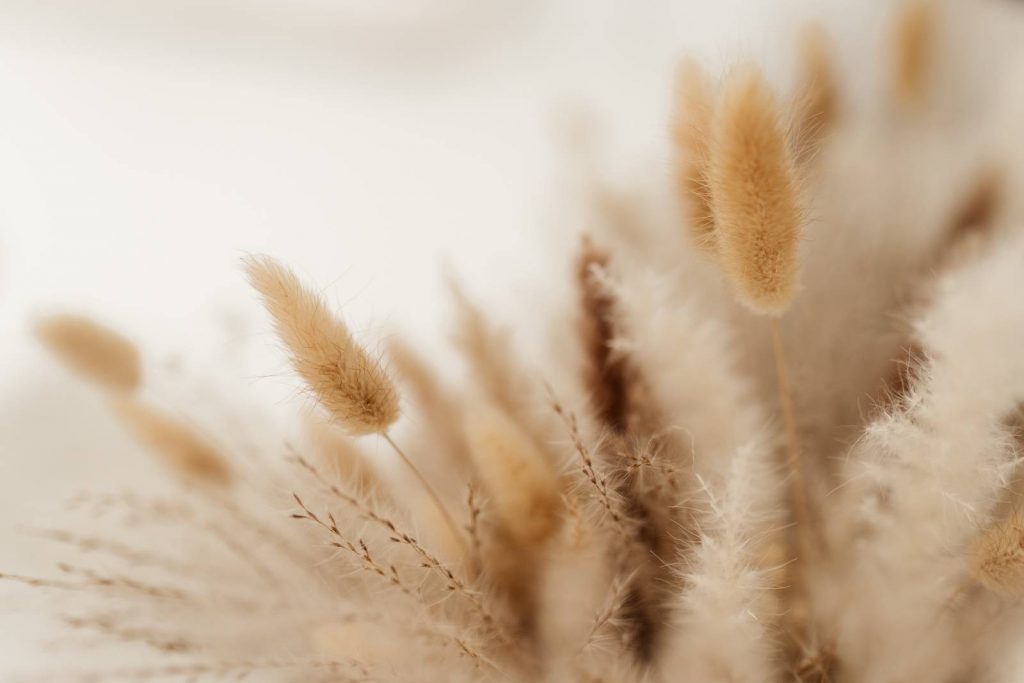 Fotostudio Mine Fotografie Familienfotograf Babyfotograf Hannover Wunstorf Barsinghausen Stadthagen Obernkirchen Mindeln Hameln